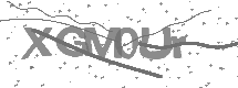 visual captcha